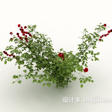 红花绿色植物花草3d模型下载