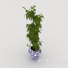 室内观赏盆栽3d模型下载