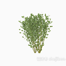 树木绿色植物3d模型下载