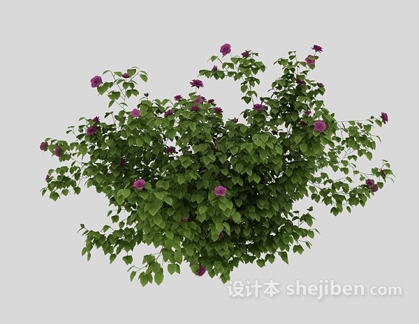 设计本绿化带植物3d模型下载