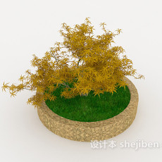 室外盆栽植物3d模型下载