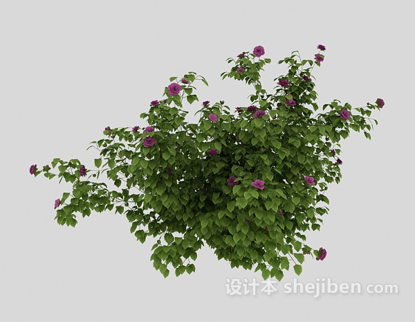 免费绿化带植物3d模型下载