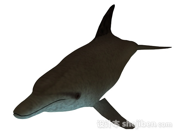 免费鲨鱼玩具3d模型下载