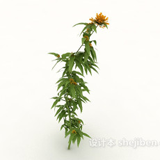 室外野生植物花朵3d模型下载