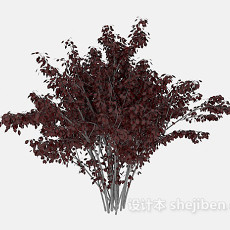 红叶树木3d模型下载