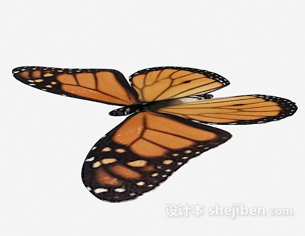 设计本斑点蝴蝶3d模型下载