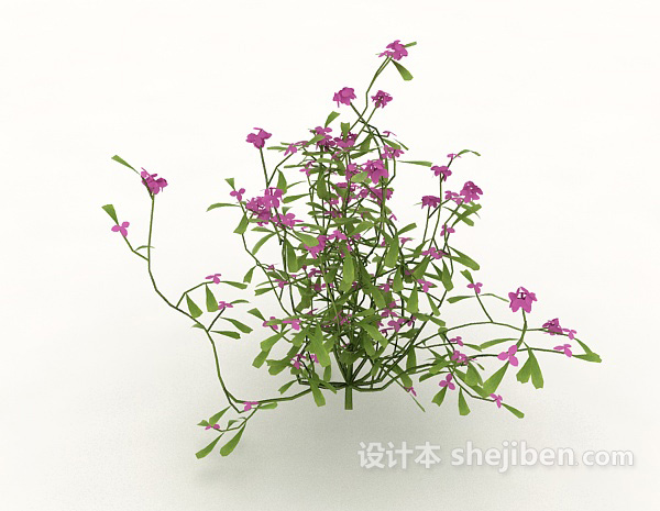 设计本室外藤蔓植物3d模型下载