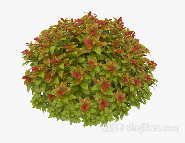 室外绿化带植物3d模型下载