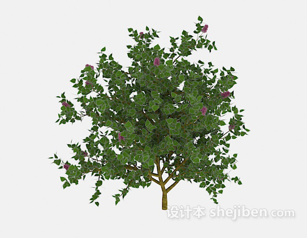 室外绿色树木3d模型下载