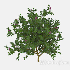 室外绿色树木3d模型下载