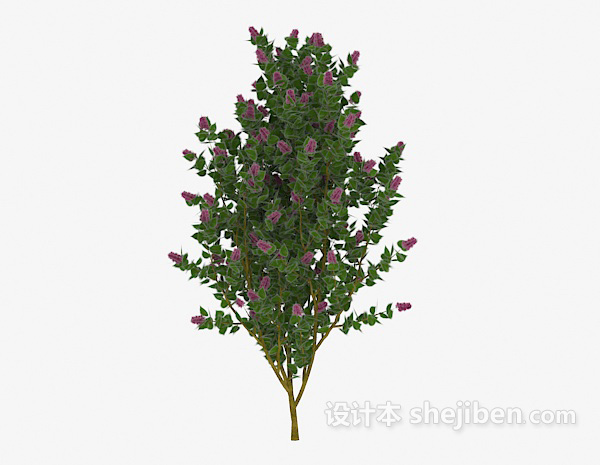 室外开花树木3d模型下载