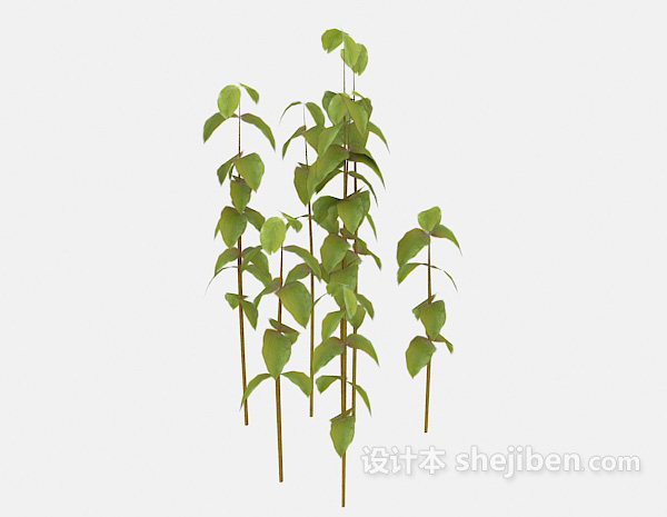 常见室外植物3d模型下载
