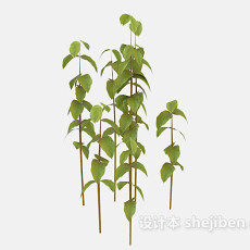 常见室外植物3d模型下载