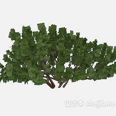大枝干树木3d模型下载
