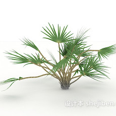 小型针叶植物3d模型下载