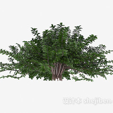 丛林树木3d模型下载