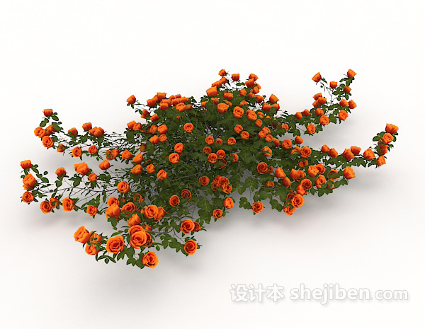 现代风格室外观赏性植株3d模型下载