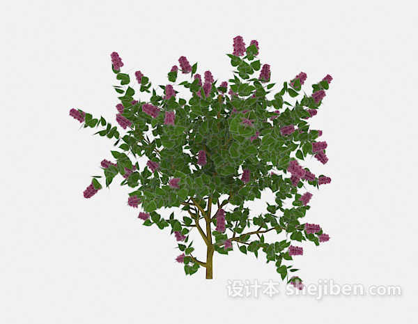 常见绿色花卉植物3d模型下载