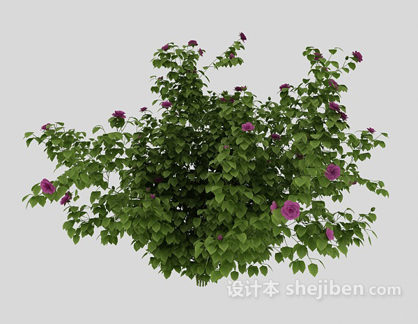 绿化带植物3d模型下载