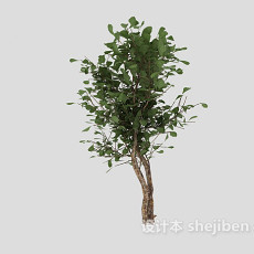 室外绿树3d模型下载