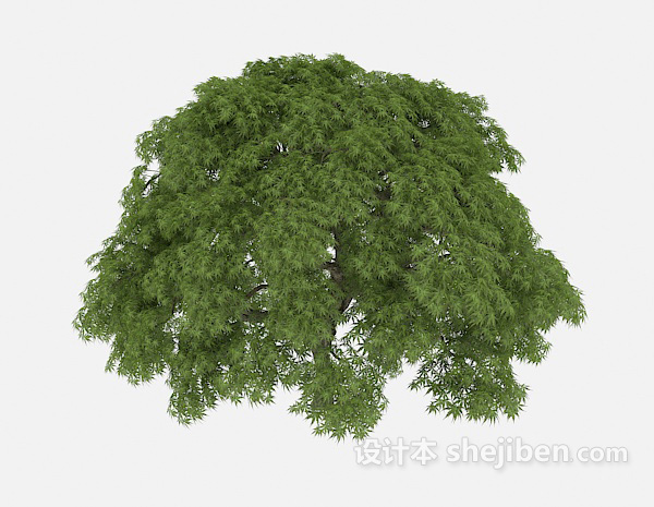 免费路标植物大树3d模型下载