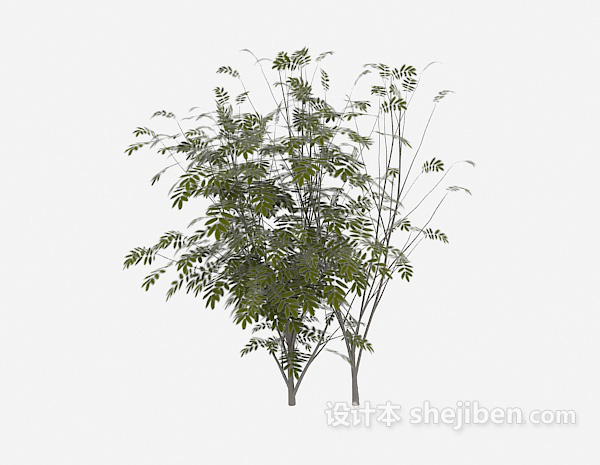 野外绿色植物3d模型下载