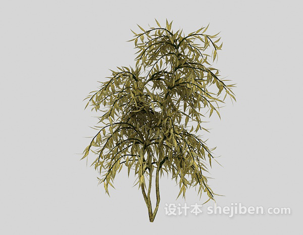 室外树木植物3d模型下载