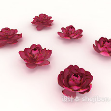 红花植物幼苗3d模型下载
