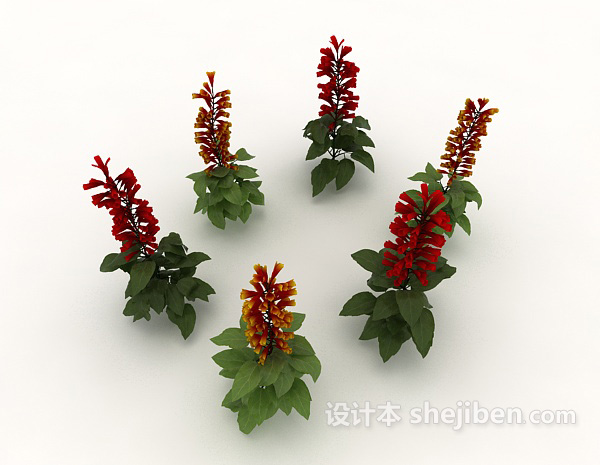 开花植物3d模型下载