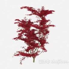 红叶植物树木3d模型下载