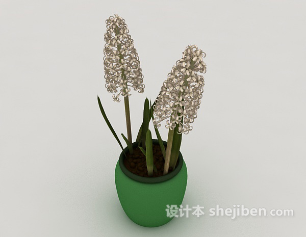 风信子绿色盆栽3d模型下载