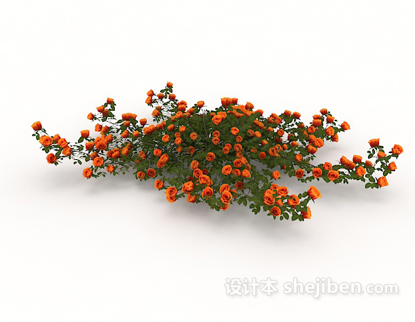 室外观赏性植株3d模型下载