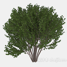 室外绿木植株3d模型下载
