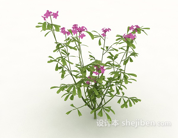 野外植物3d模型下载