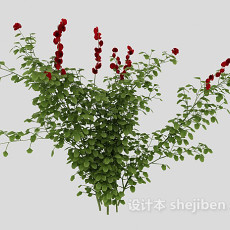 室外绿化植物3d模型下载