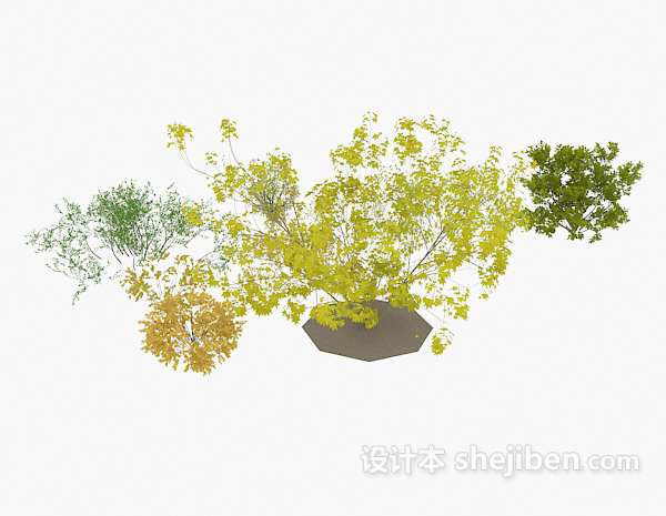 设计本灌木丛3d模型下载