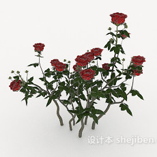 带刺玫瑰3d模型下载