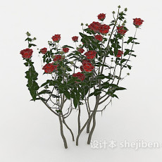 玫瑰花丛3d模型下载