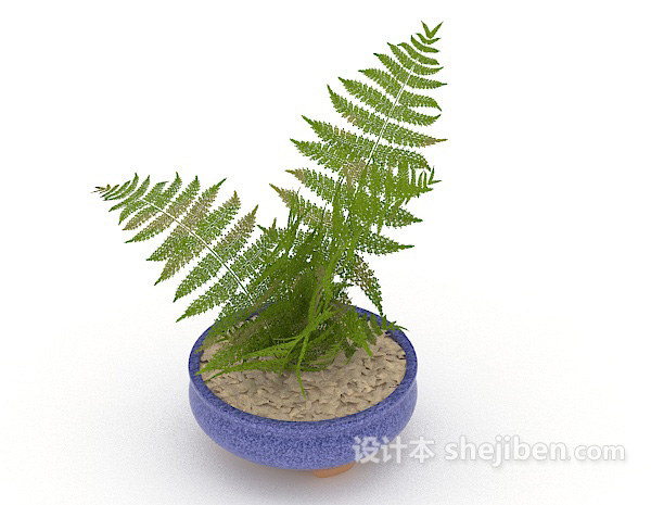 免费室内绿色小盆栽3d模型下载