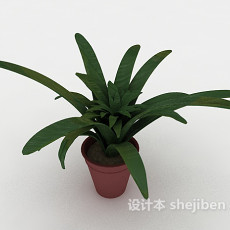 绿色盆栽植物3d模型下载