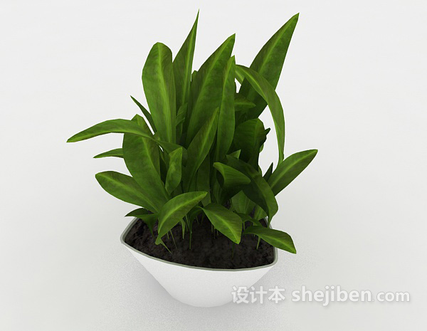 现代风格绿色盆栽绿苗3d模型下载