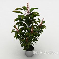 室内装饰盆栽3d模型下载