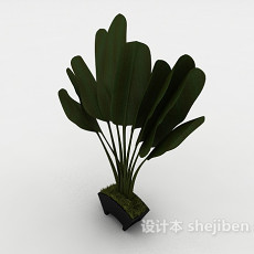 简单室内盆栽3d模型下载