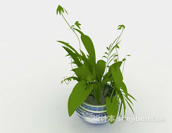 现代风格办公室藤蔓盆栽3d模型下载