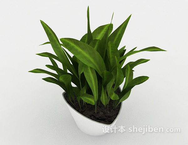 绿色盆栽绿苗3d模型下载