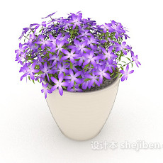 紫色小花盆栽3d模型下载