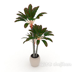 室内常见盆栽3d模型下载