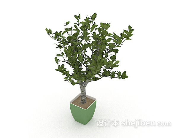 免费绿色花盆植株3d模型下载