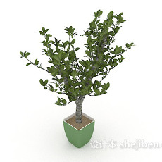 绿色花盆植株3d模型下载