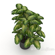 室内观赏性盆栽3d模型下载